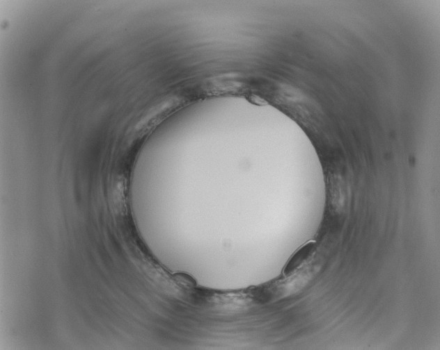 X0000073450378200608111356