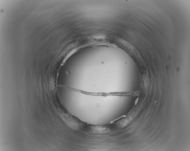 X0000073450380200608111356