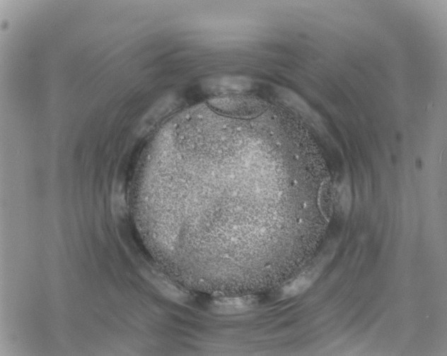 X0000073450381200608111356