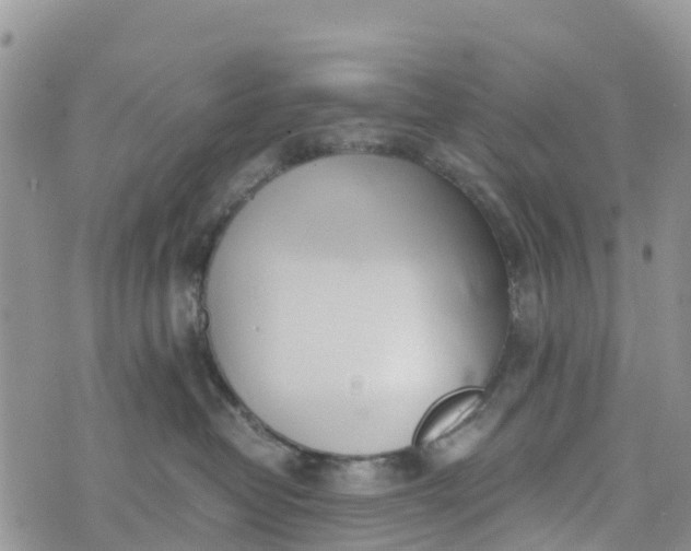 X0000073450382200608111356