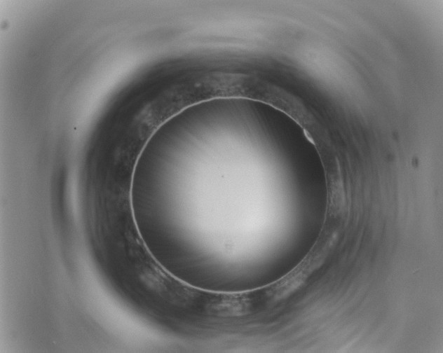 X0000073450383200608111356