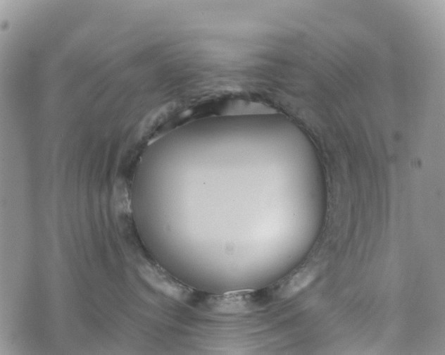 X0000073450384200608111356