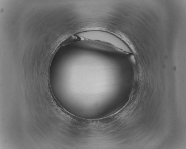 X0000073450385200608111355