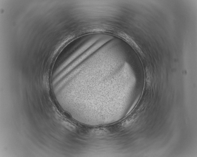 X0000073450386200608111355