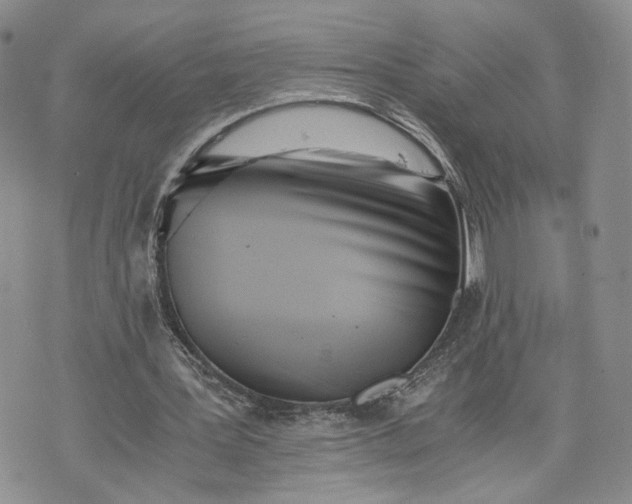 X0000073450387200608111355