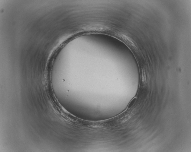 X0000073450388200608111355