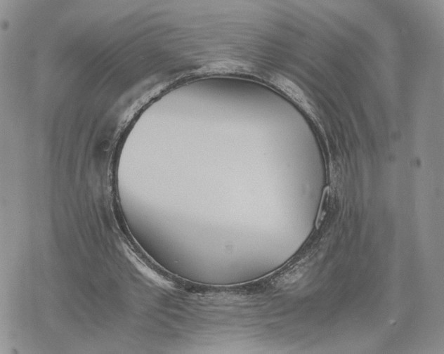 X0000073450389200608111355