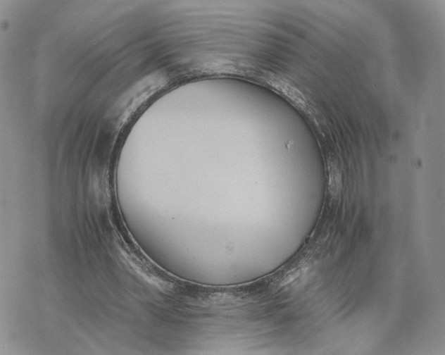 X0000073450390200608111355