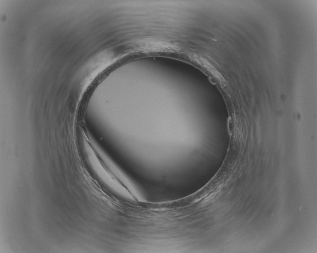 X0000073450391200608111355