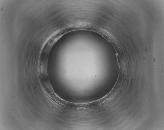 X0000073450392200608111355