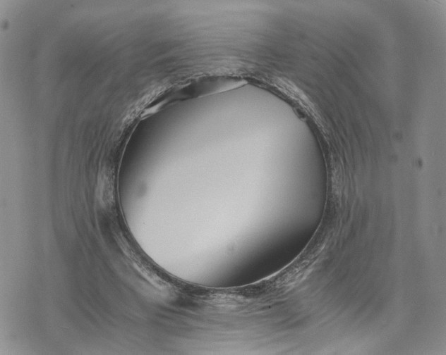 X0000073450393200608111355