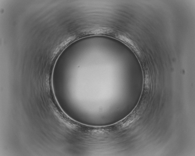 X0000073450394200608111355