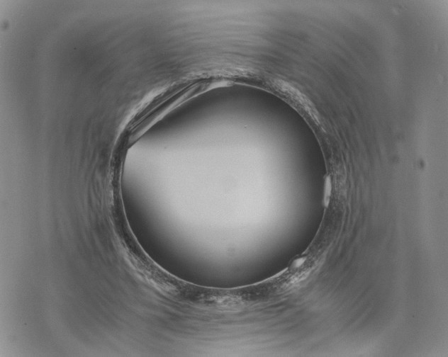 X0000073450395200608111355