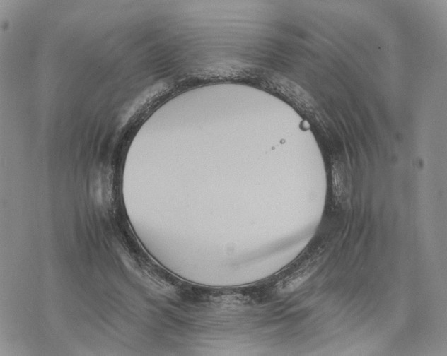 X0000073450396200608111355