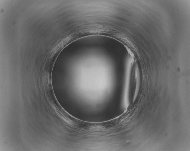 X0000073450397200608111355