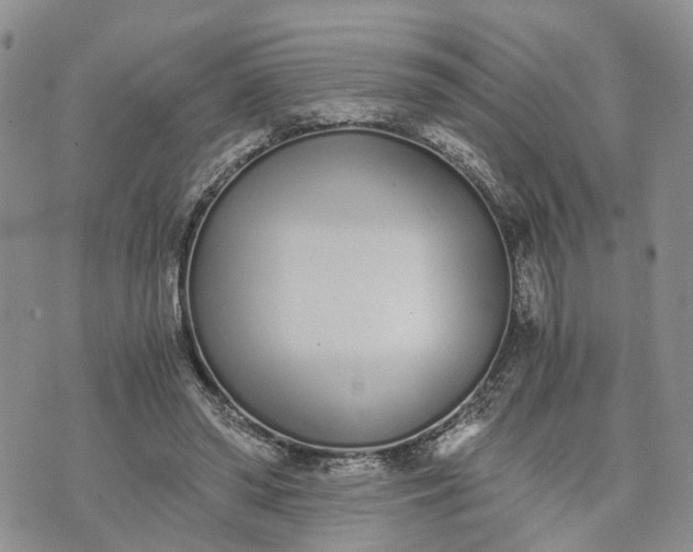 X0000073450398200608111355