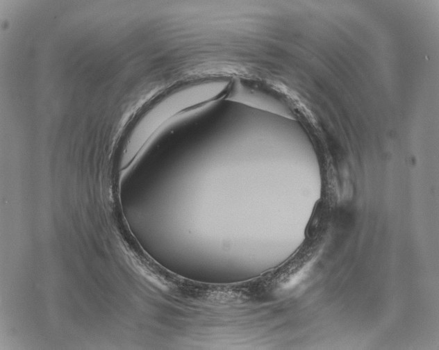 X0000073450399200608111355