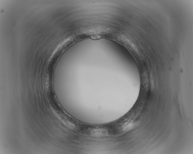 X0000073450400200608111355