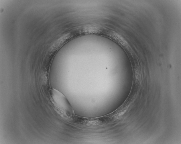 X0000073450401200608111355