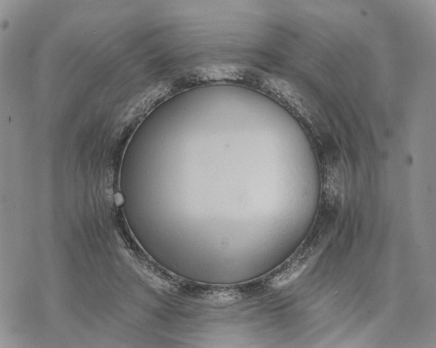 X0000073450402200608111355