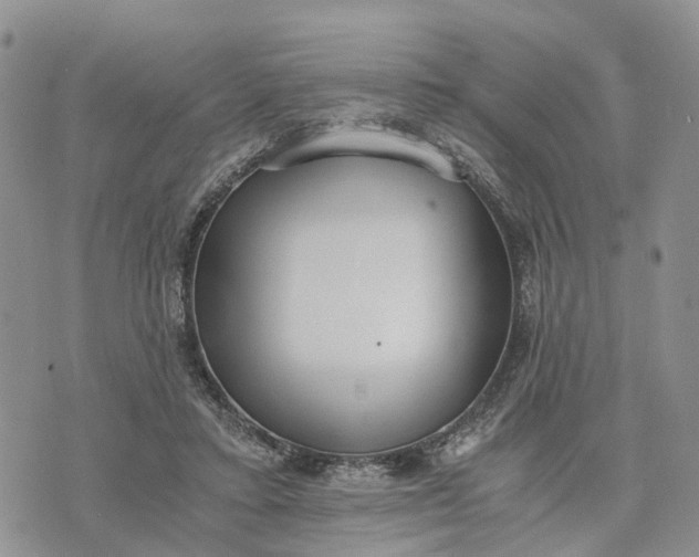 X0000073450403200608111355