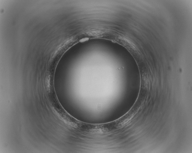 X0000073450404200608111355