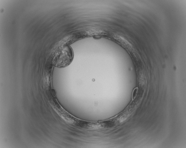 X0000073450405200608111355