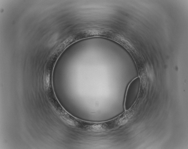 X0000073450406200608111355