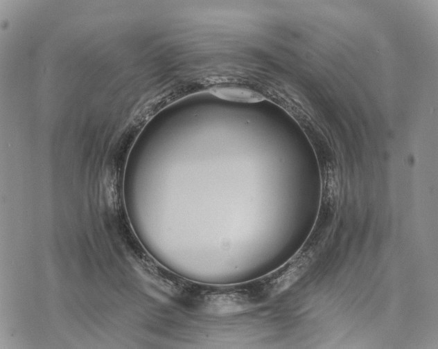 X0000073450408200608111355