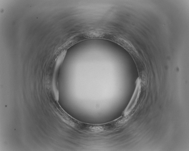 X0000073450409200608111355