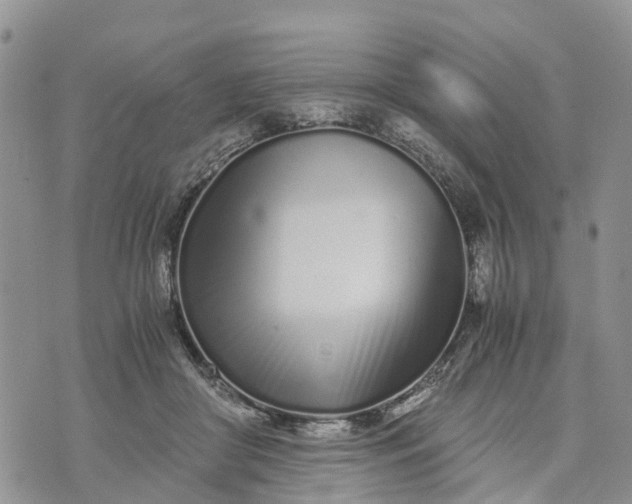 X0000073450410200608111355