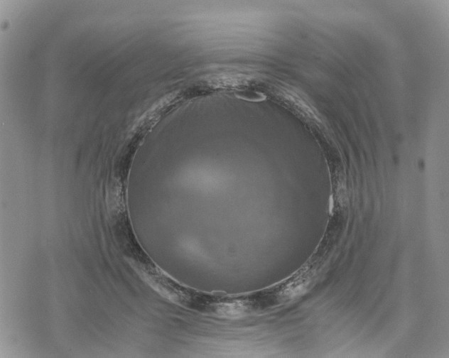 X0000073450411200608111355