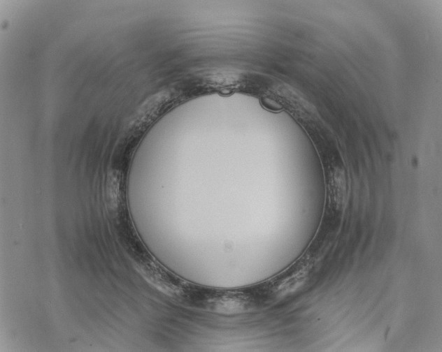 X0000073450412200608111355