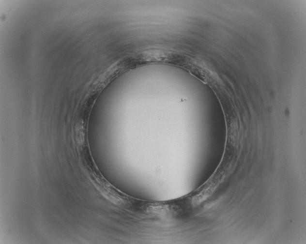 X0000073450413200608111355