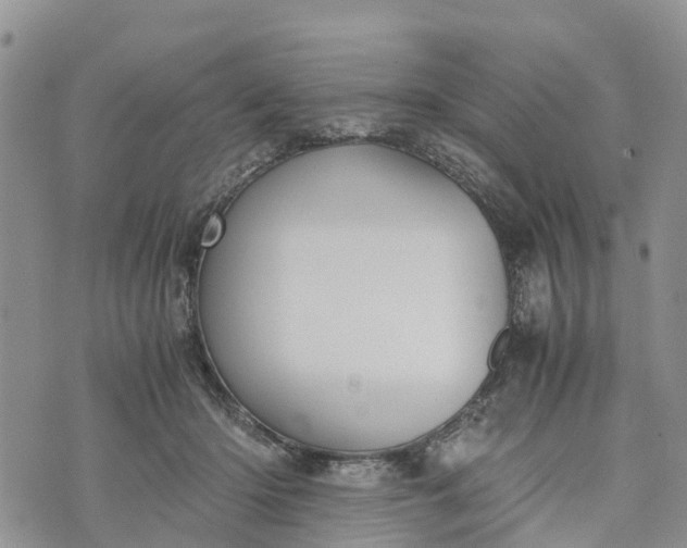 X0000073450414200608111355