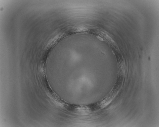 X0000073450415200608111355