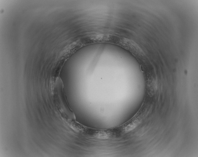 X0000073450416200608111355