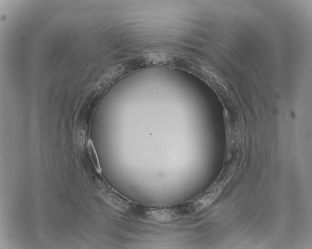 X0000073450417200608111355