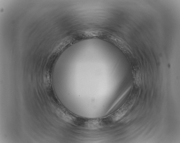 X0000073450418200608111355