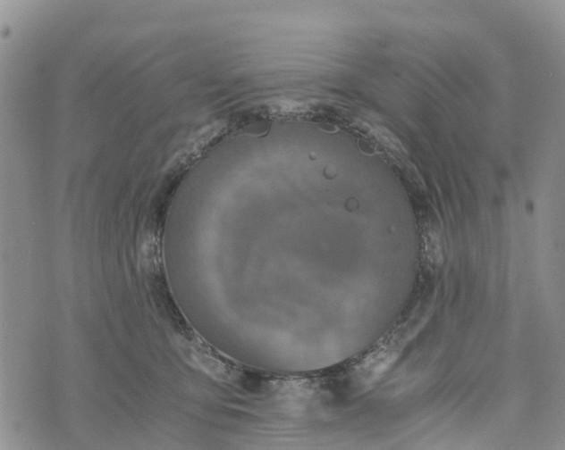 X0000073450419200608111355