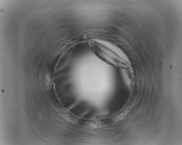 X0000073450420200608111355