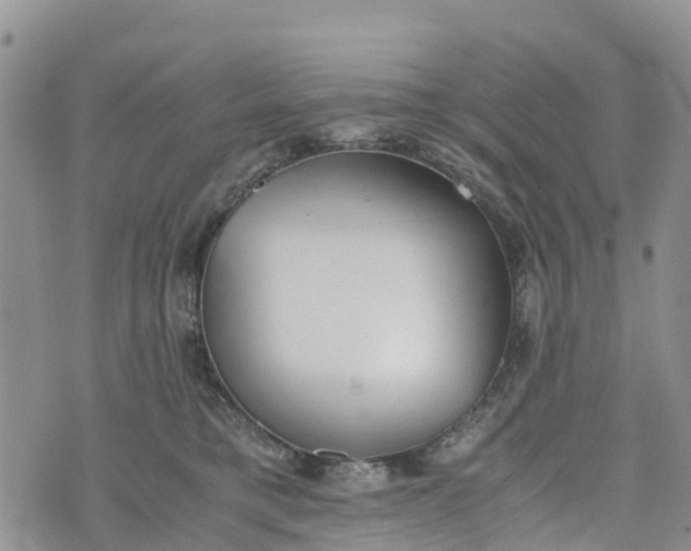 X0000073450421200608111355