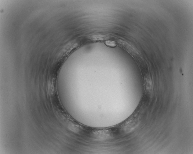 X0000073450422200608111355