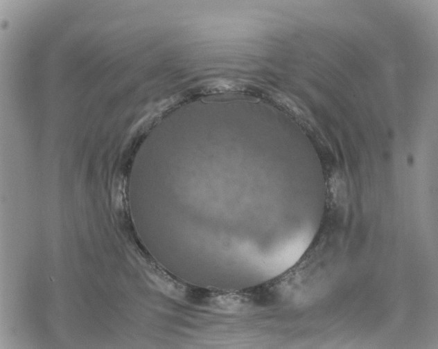 X0000073450423200608111355