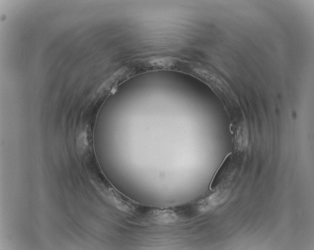 X0000073450424200608111355