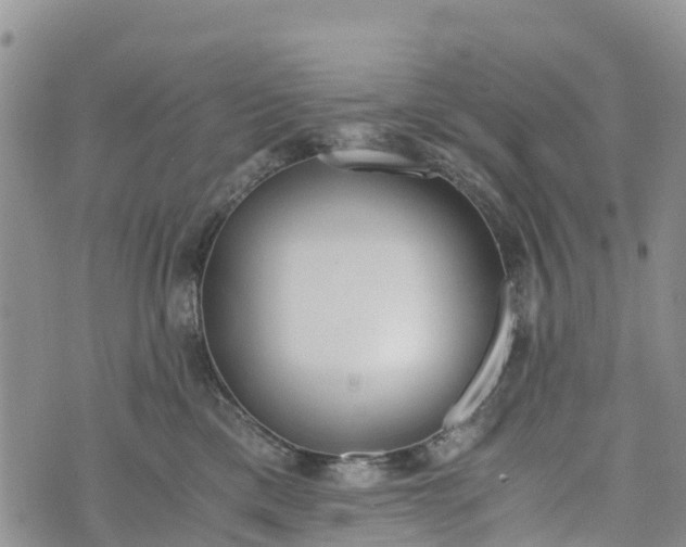 X0000073450425200608111355