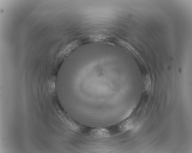 X0000073450427200608111355