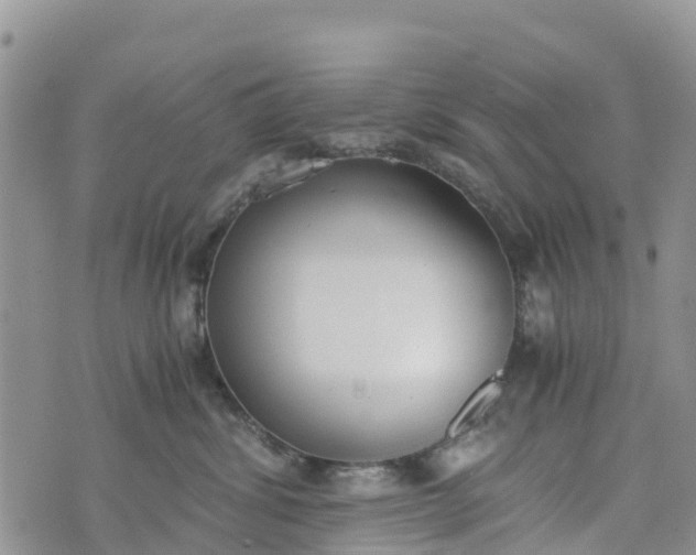 X0000073450428200608111355