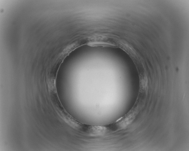 X0000073450429200608111355