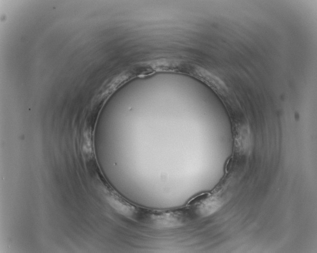 X0000073450430200608111355